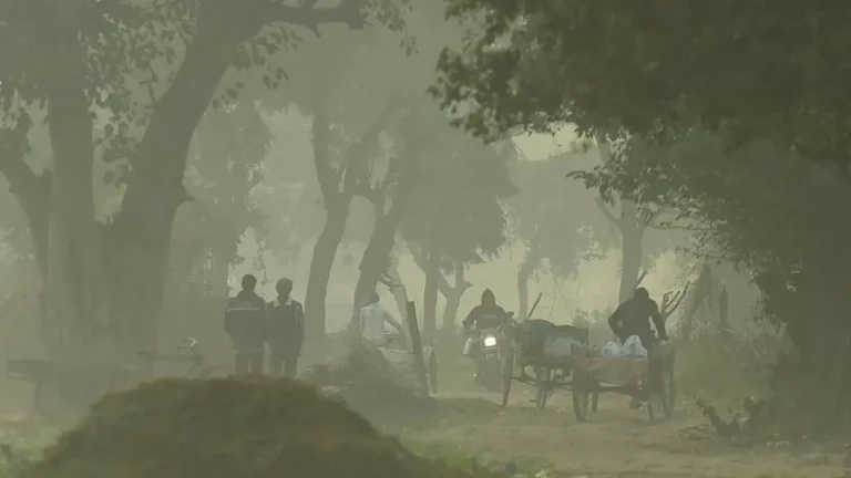 শীতের দাপট বাড়ছে দক্ষিণবঙ্গে, ৮ জেলায় সতর্কতা জারি